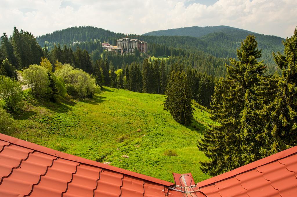 Snezhanka Hotel Pamporovo Eksteriør bilde